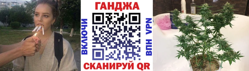 купить наркотик Горячий Ключ Бошки марихуана White Widow